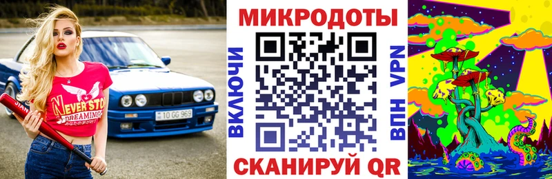 Галлюциногенные грибы Psilocybe  Купить где  Чадан 